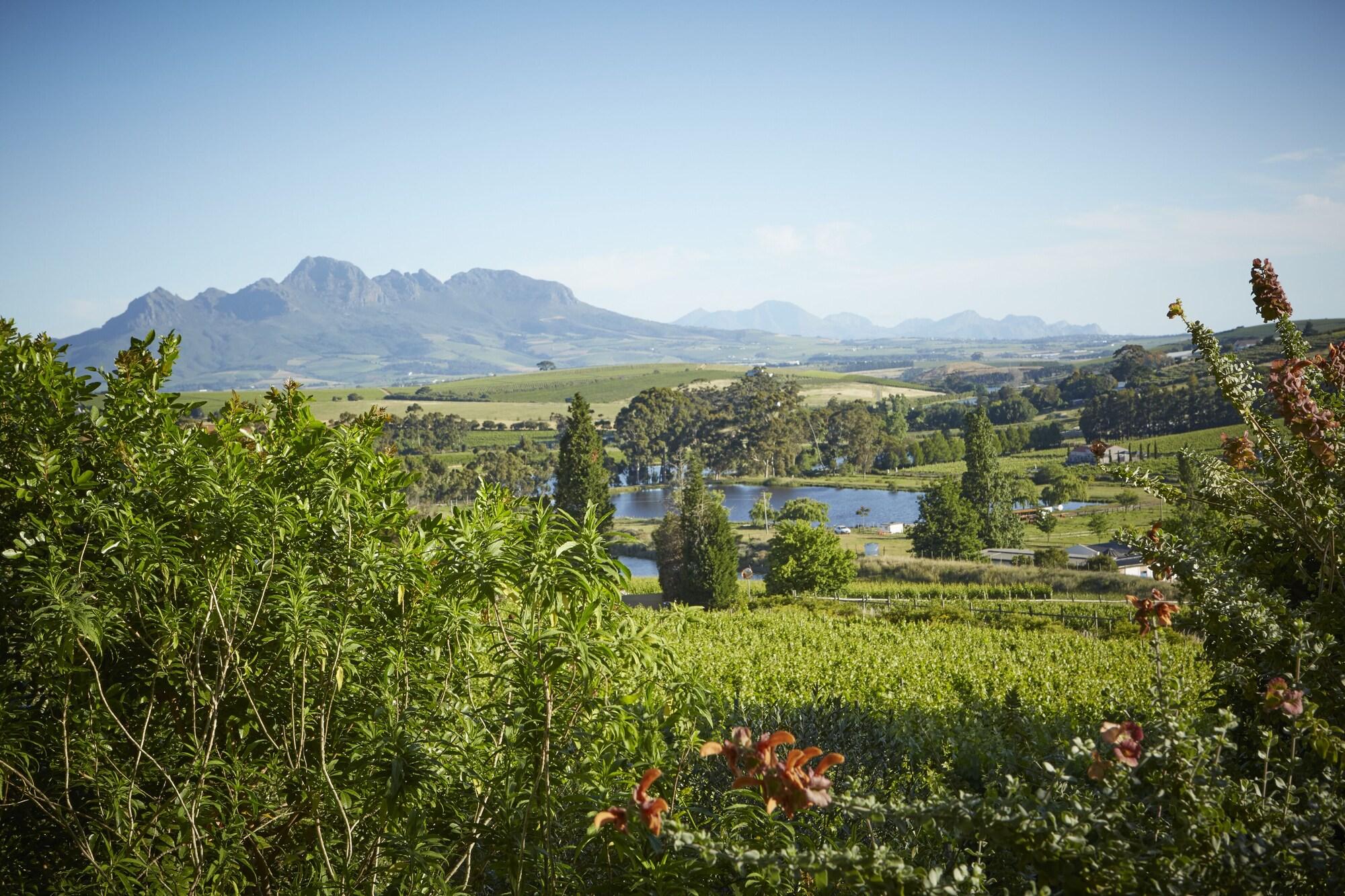 The Devon Valley Hotel Stellenbosch Exterior photo