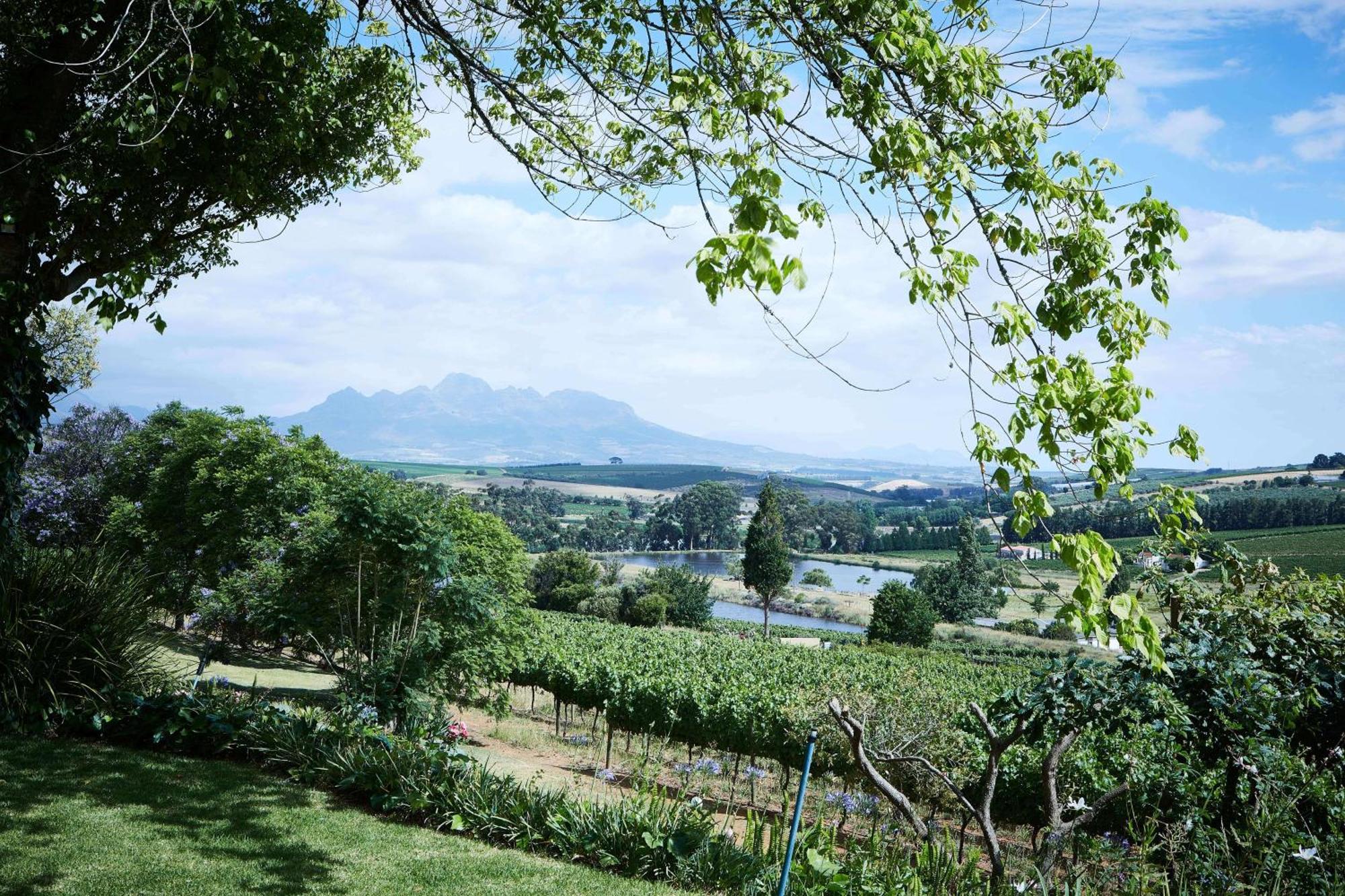 The Devon Valley Hotel Stellenbosch Exterior photo